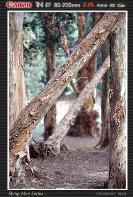 shinmun_slide_13.jpg