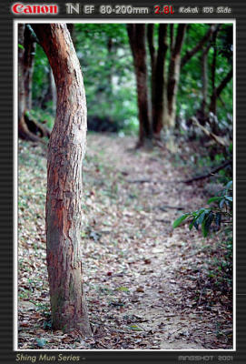 shinmun_slide_15.jpg