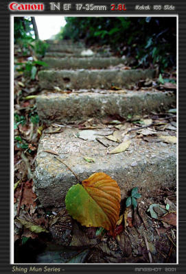 shinmun_slide_16.jpg