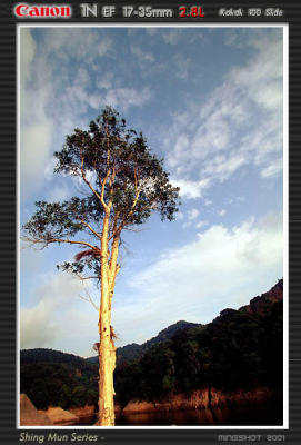 shinmun_slide_17.jpg