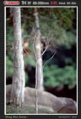shinmun_slide_20.jpg