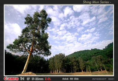 shinmun_slide_23.jpg