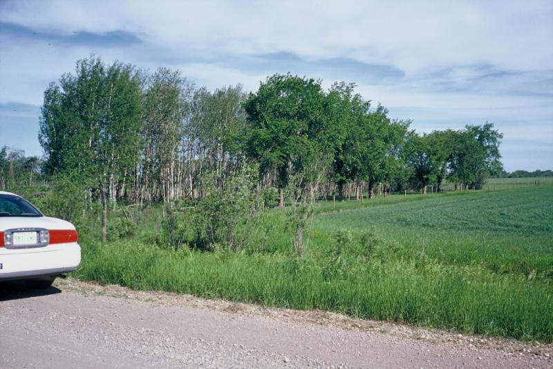 F1350005.jpg