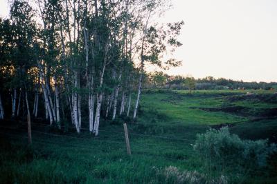 F1360029.jpg