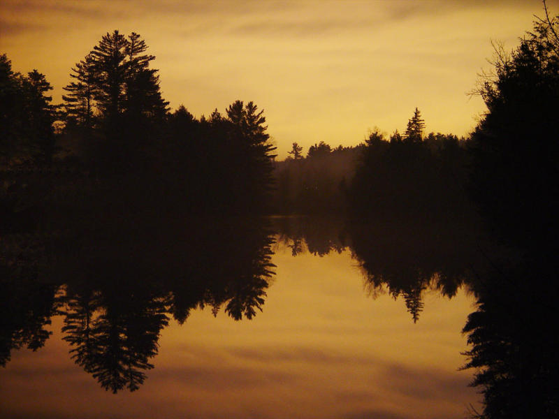 Beauty in Light Pollution - A Van Beek - F707
