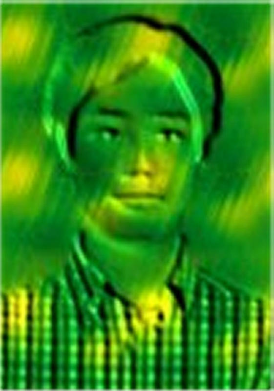 The Green Ghost (Exhibition) - Liman