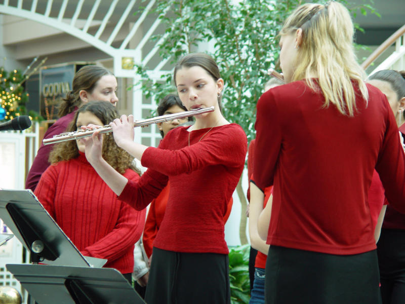 Mall musician1