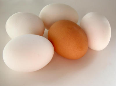 Brown Egg White Eggs by Dee Golden Sony 707