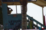 Lifeguard