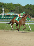 Another day at the track! by Pablo