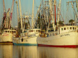 Gotta get up and catch the shrimp (Exhibition) by Pablo