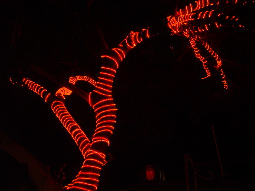 red spiral tree by kudbegud