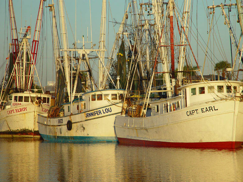 Gotta get up and catch the shrimp (Exhibition) by Pablo