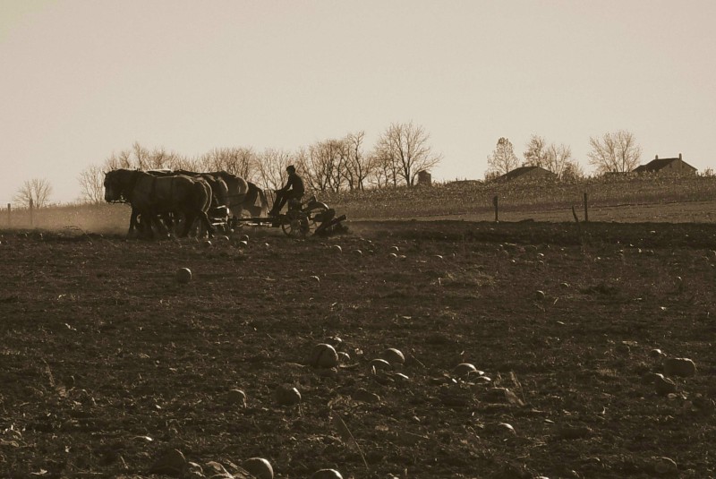 Headed Home (Exhibition)