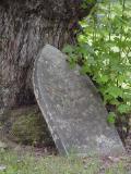 DSC07563_02.jpg