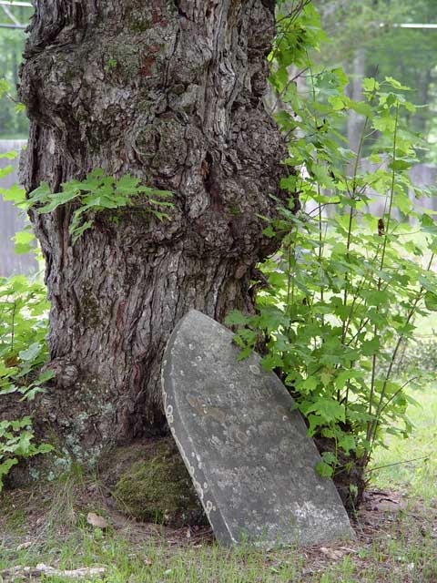 DSC07564_02.jpg