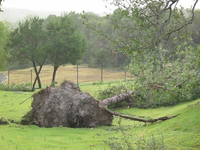 storm0009.jpg