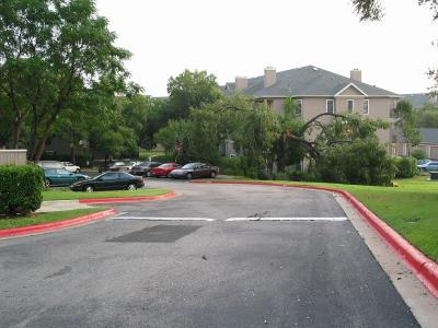 storm0015.jpg