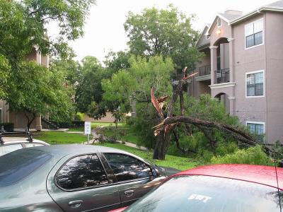 storm0016.jpg