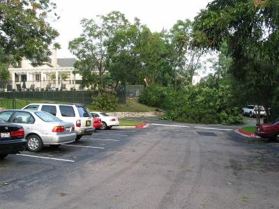 storm0017.jpg