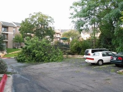 storm0019.jpg