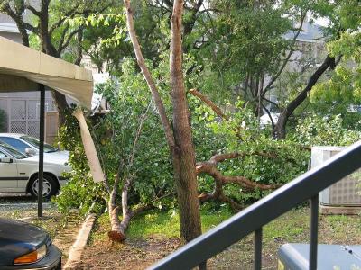 storm0024.jpg