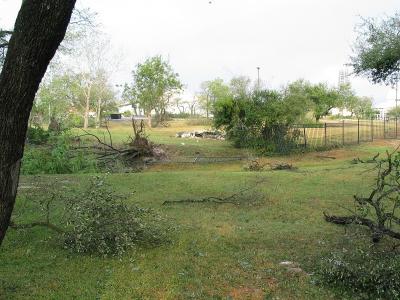 storm0029.jpg