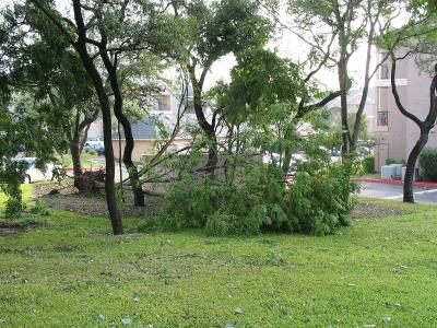 storm0030.jpg