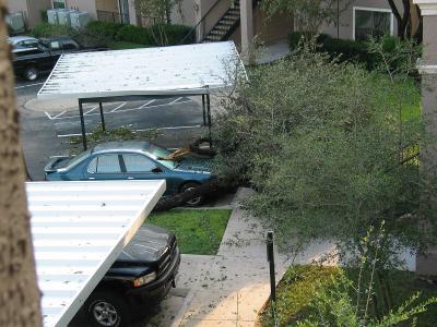 storm0036.jpg