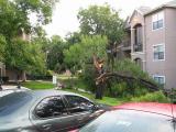 storm0016.jpg