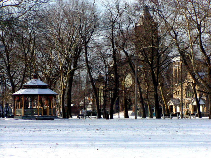 Lincoln Park Winter
