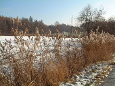 Dscf0007 Kopie.jpg