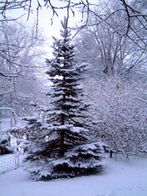 Dscf0017 Kopie3.jpg