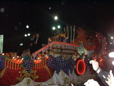 Bacchus Monarch