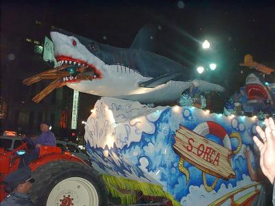 Bacchus Shark Attack
