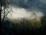 Early morning sun and mist.jpg