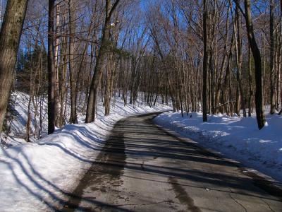 Early Winter Road