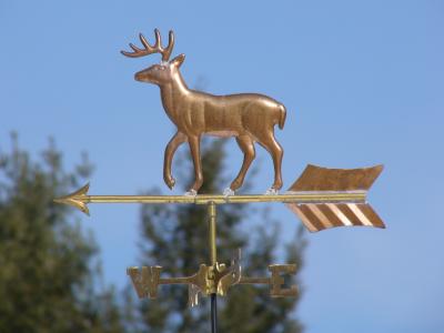 deer-bronze
