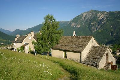 Rasa im Tessin