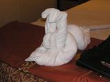 Rabbit towel animal