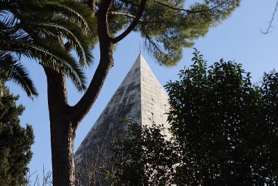 palm pine pyramid