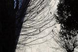 graffiti