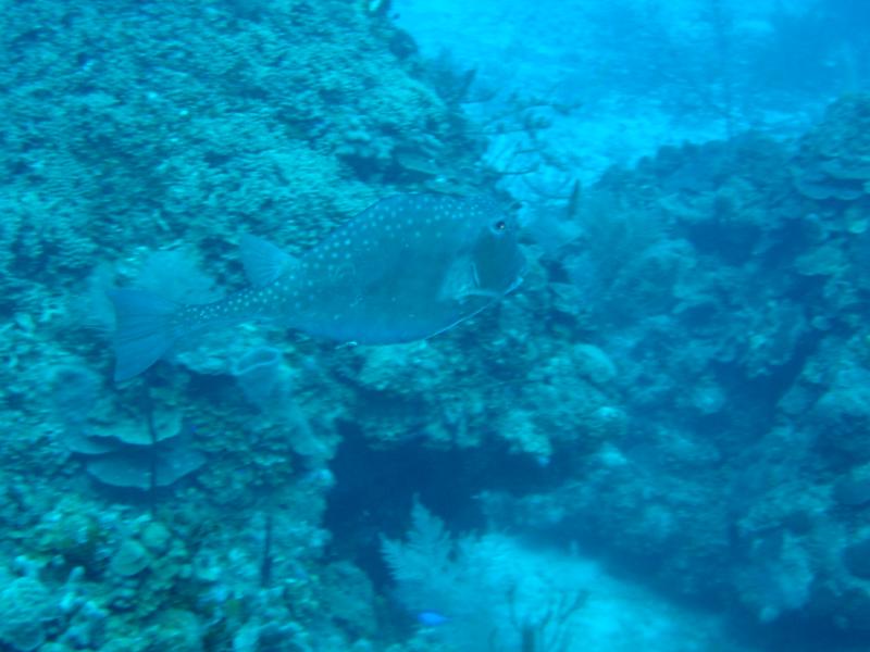 IMGP2210.JPG