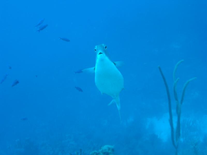 IMGP2217.JPG