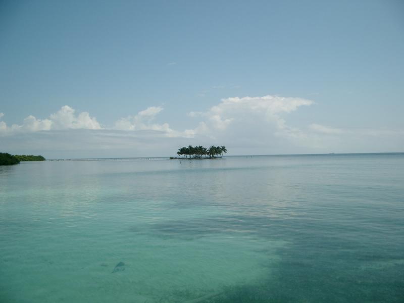 IMGP2244.JPG
