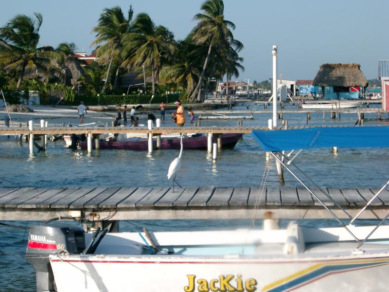IMGP2263.JPG