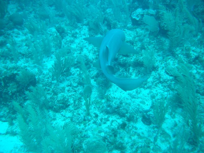 IMGP2269.JPG