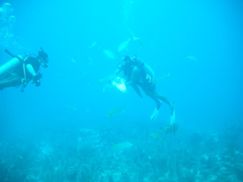 IMGP2282.JPG