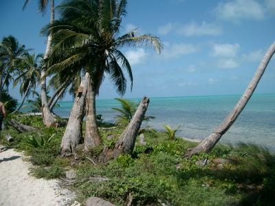 Half Moon Caye scenery