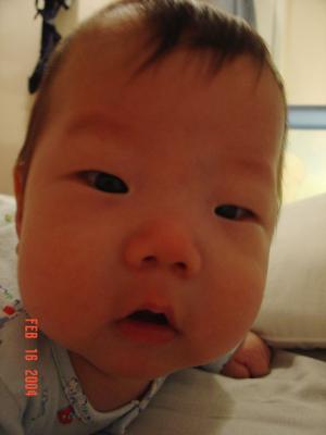DSC00429.jpg